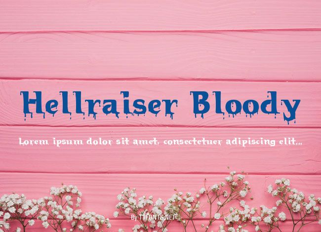 Hellraiser Bloody example